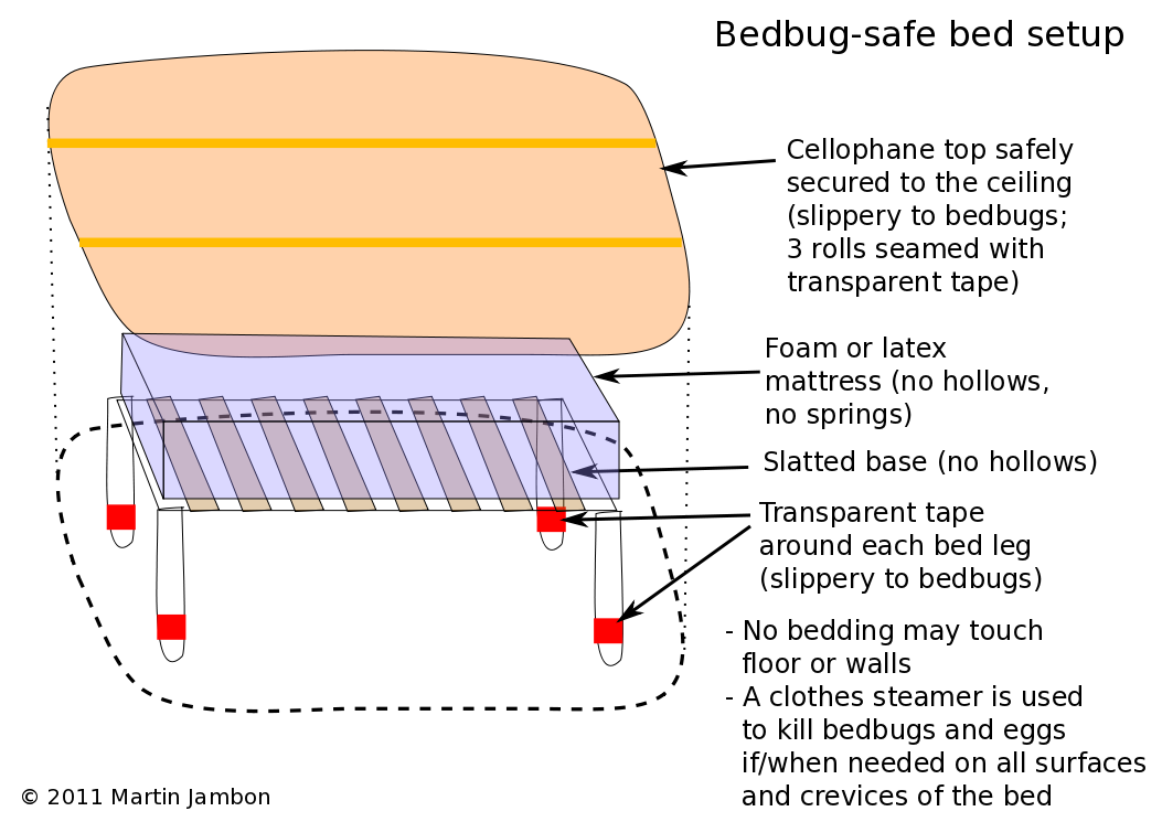 Bedbug-safe bed setup